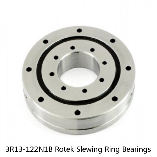 3R13-122N1B Rotek Slewing Ring Bearings #1 small image