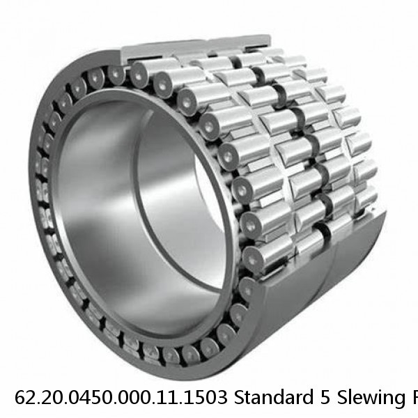62.20.0450.000.11.1503 Standard 5 Slewing Ring Bearings