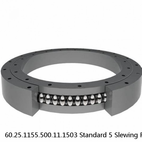 60.25.1155.500.11.1503 Standard 5 Slewing Ring Bearings #1 small image