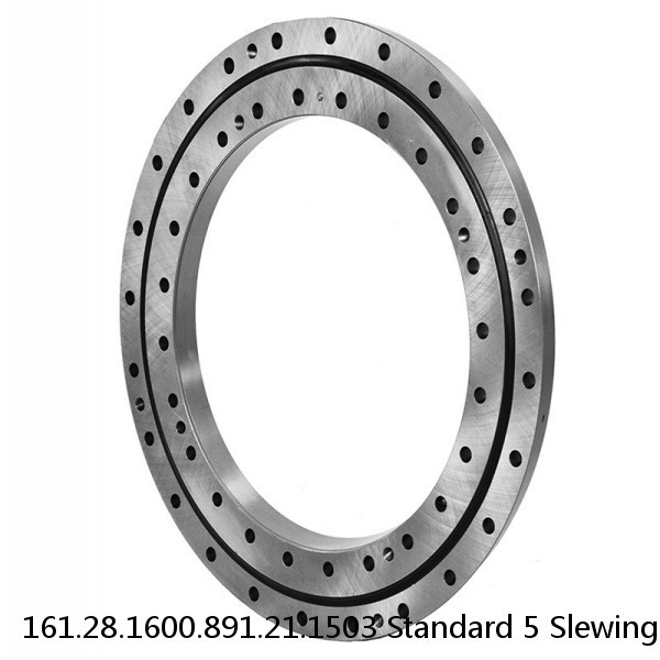 161.28.1600.891.21.1503 Standard 5 Slewing Ring Bearings #1 small image