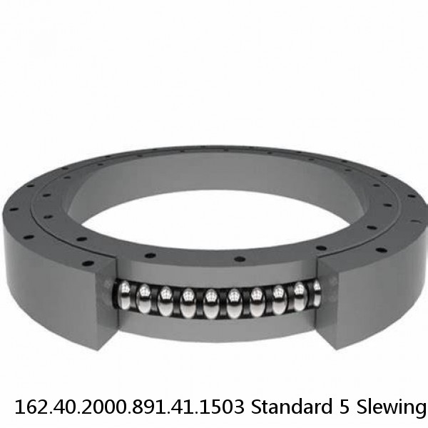 162.40.2000.891.41.1503 Standard 5 Slewing Ring Bearings #1 small image