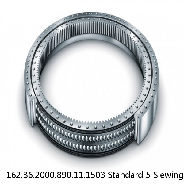 162.36.2000.890.11.1503 Standard 5 Slewing Ring Bearings #1 small image