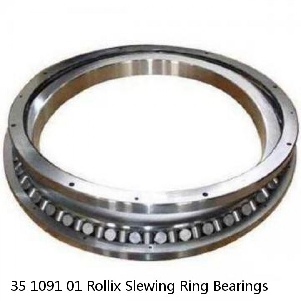 35 1091 01 Rollix Slewing Ring Bearings #1 small image