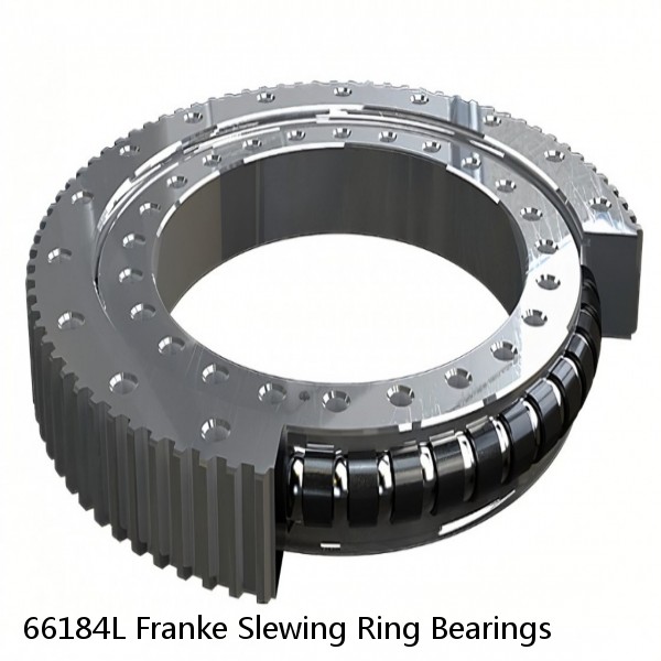 66184L Franke Slewing Ring Bearings #1 small image