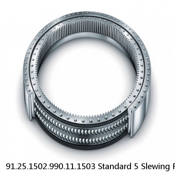 91.25.1502.990.11.1503 Standard 5 Slewing Ring Bearings #1 image