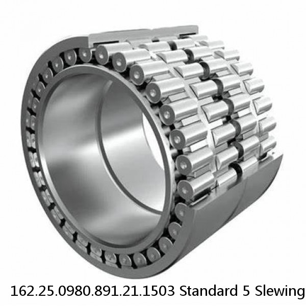 162.25.0980.891.21.1503 Standard 5 Slewing Ring Bearings #1 image