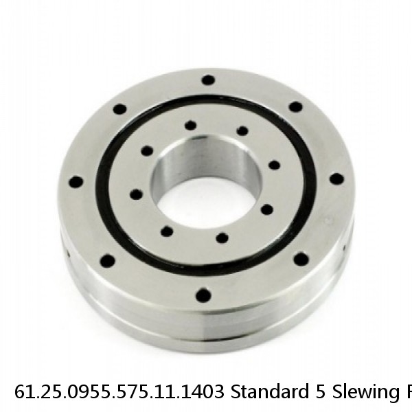 61.25.0955.575.11.1403 Standard 5 Slewing Ring Bearings #1 image