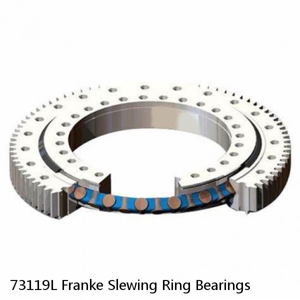 73119L Franke Slewing Ring Bearings #1 image