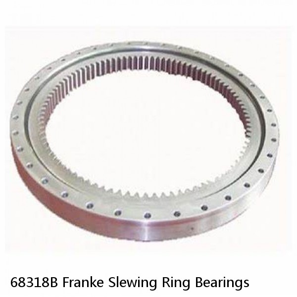 68318B Franke Slewing Ring Bearings #1 image