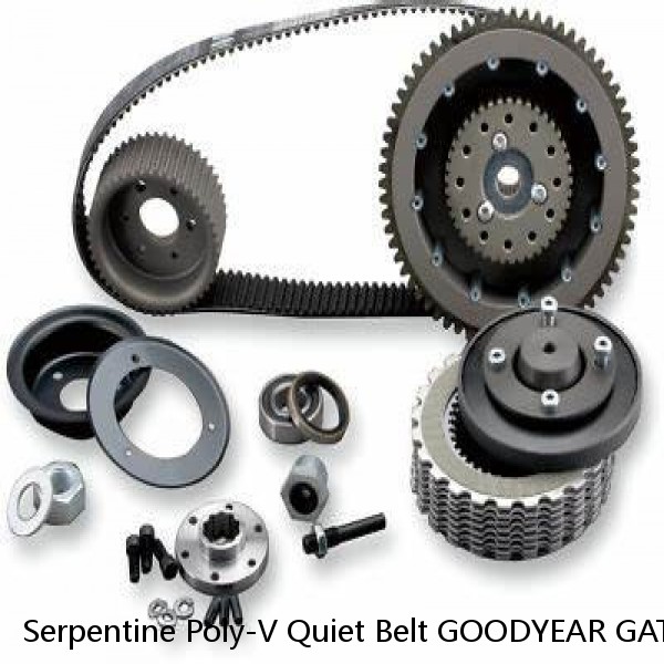 Serpentine Poly-V Quiet Belt GOODYEAR GATORBACK 4040528 #1 image